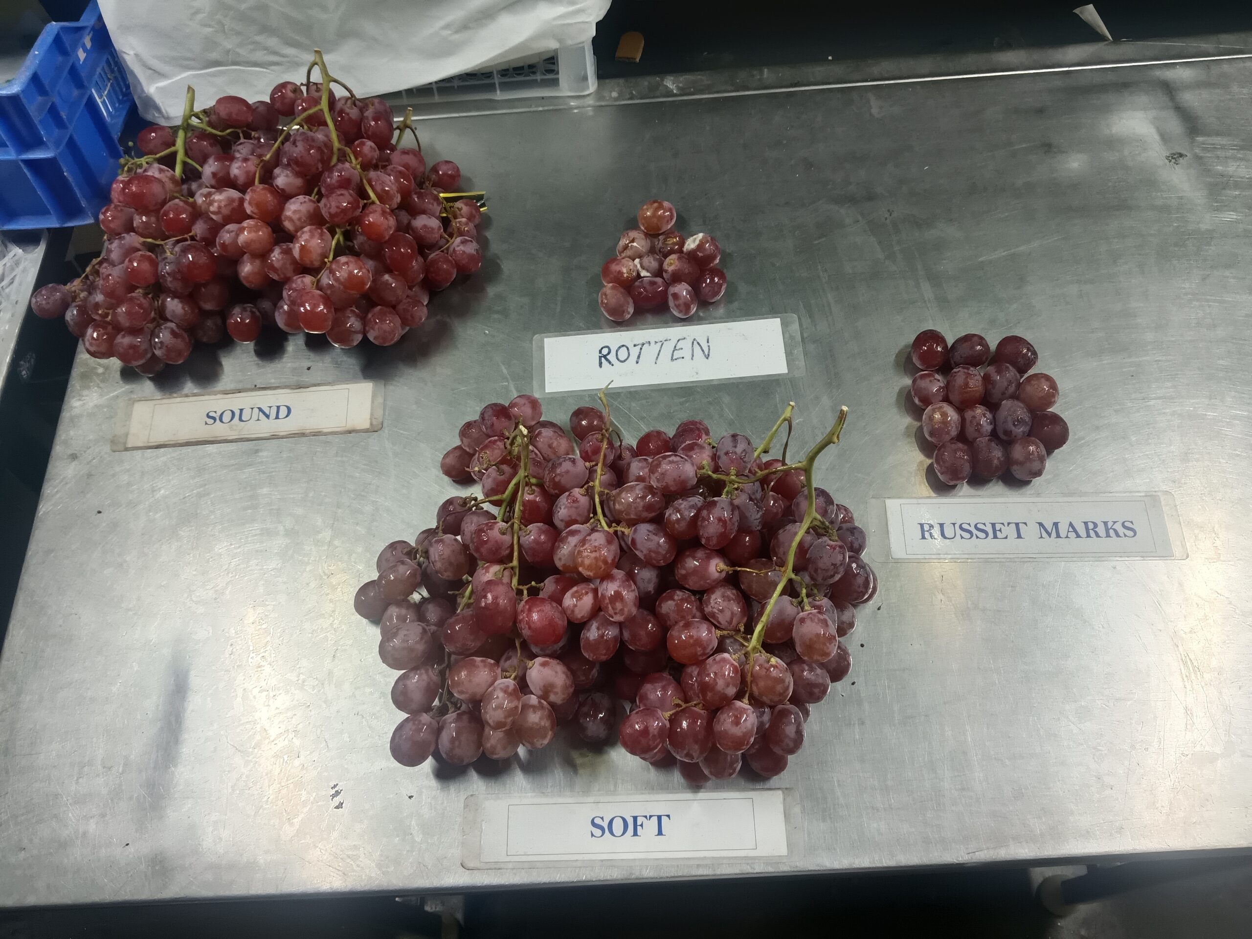 filter: 0; fileterIntensity: 0.0; filterMask: 0; captureOrientation: 0;
brp_mask:0;
brp_del_th:null;
brp_del_sen:null;
delta:null;
module: photo;hw-remosaic: false;touch: (-1.0, -1.0);sceneMode: 2;cct_value: 0;AI_Scene: (-1, -1);aec_lux: 0.0;aec_lux_index: 0;albedo: ;confidence: ;motionLevel: -1;weatherinfo: null;temperature: 34;