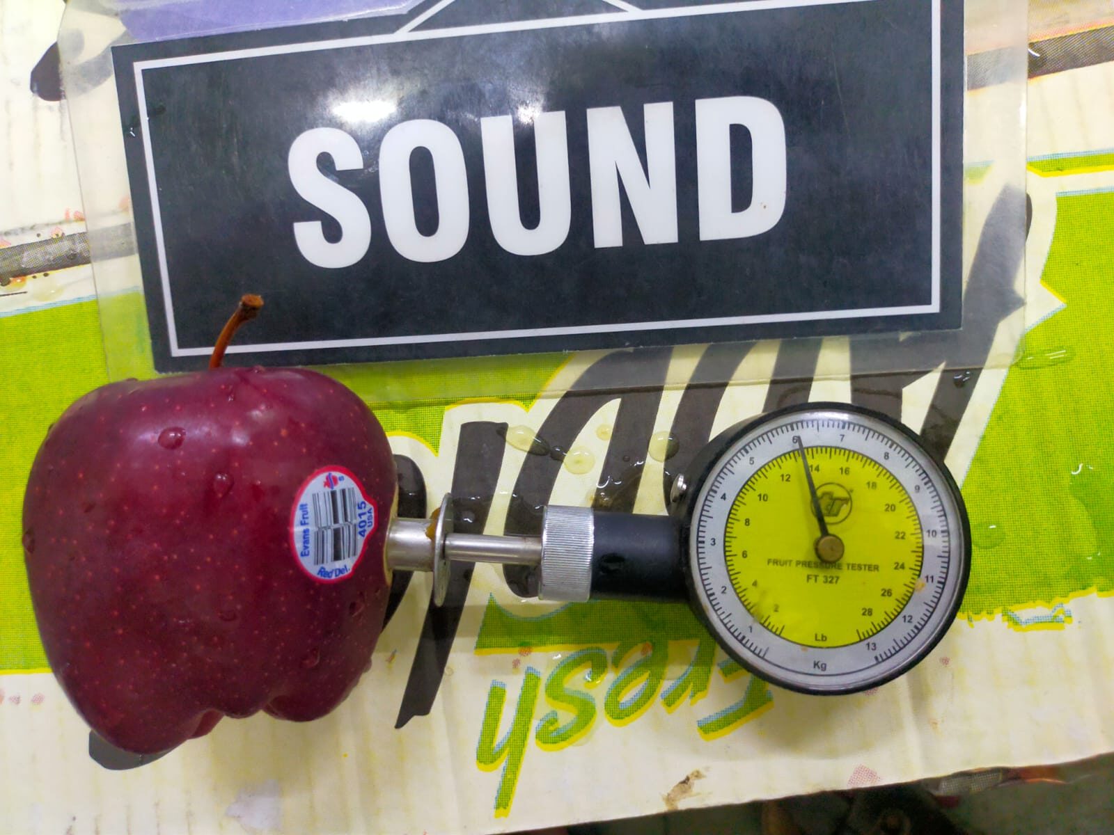 WhatsApp Image 2024-04-03 at 9.42.15 AM (1)