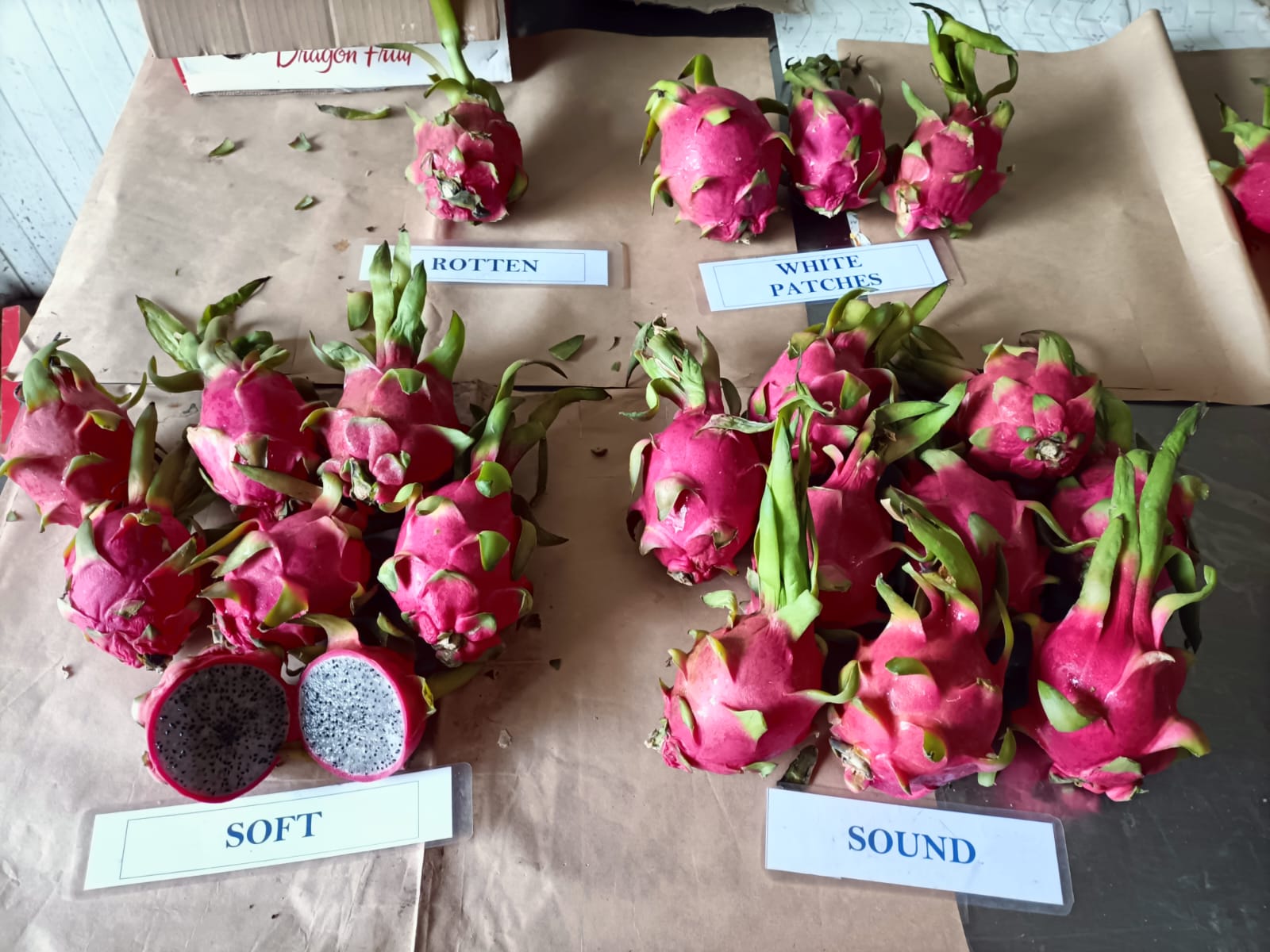 WhatsApp Image 2024-04-22 at 17.13.36