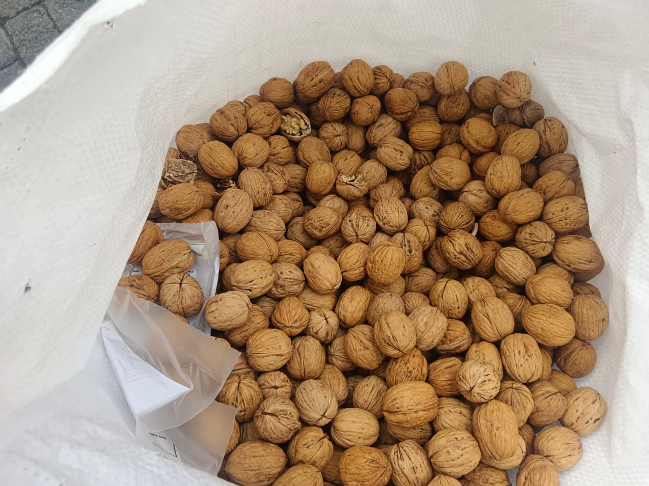 WhatsApp Image 2024-10-14 at 11.00.50 (1)