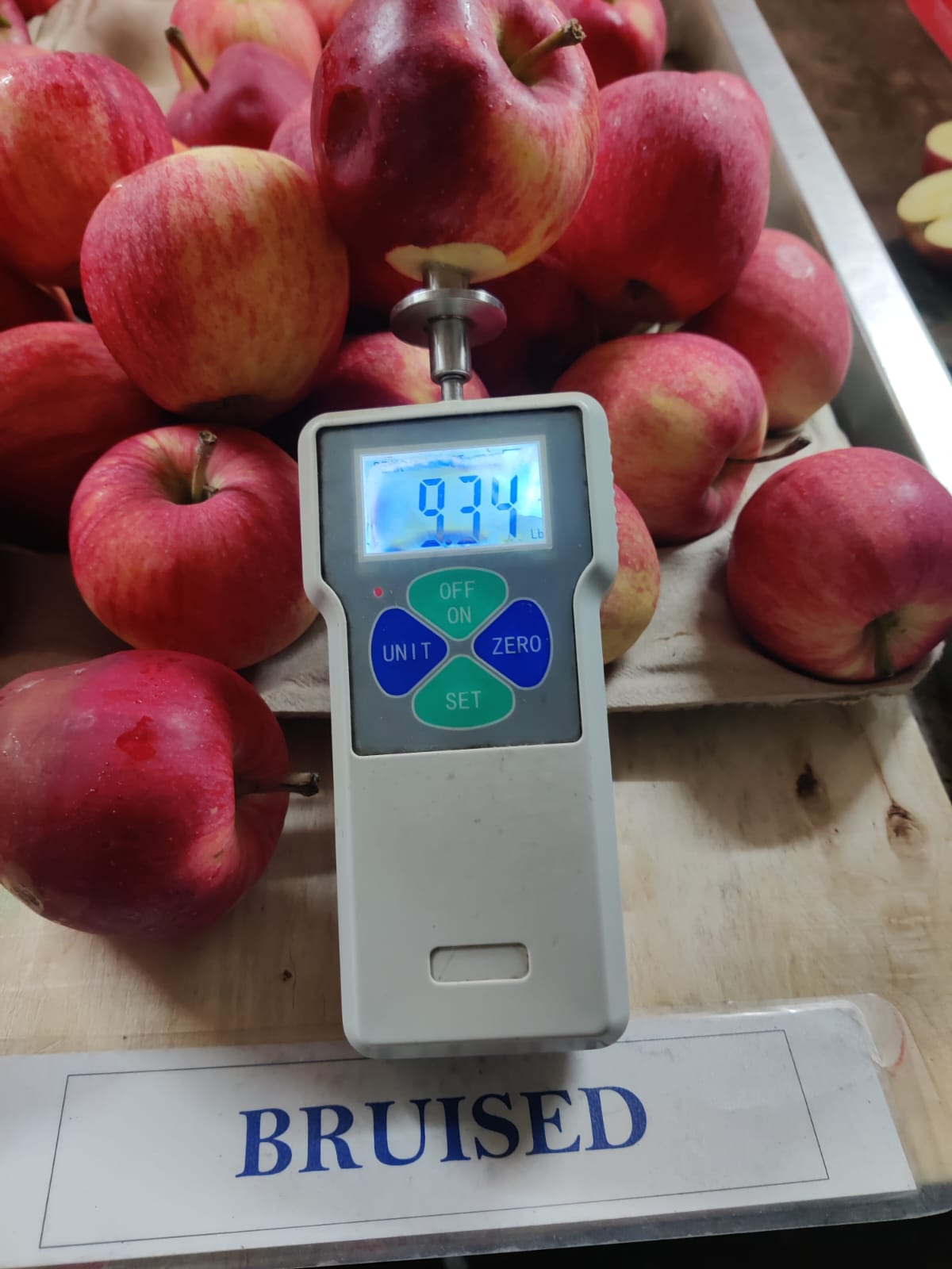 WhatsApp Image 2024-12-05 at 11.50.14 AM