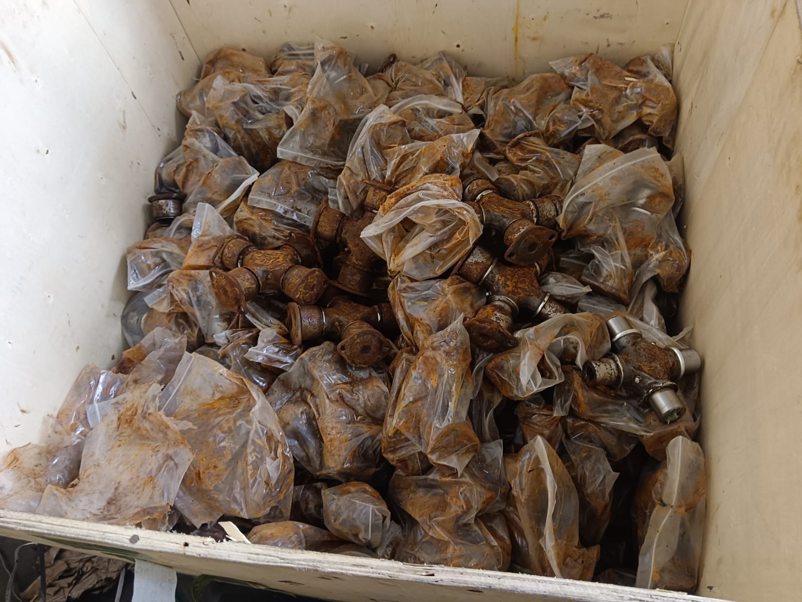 WhatsApp Image 2024-12-05 at 4.47.12 PM