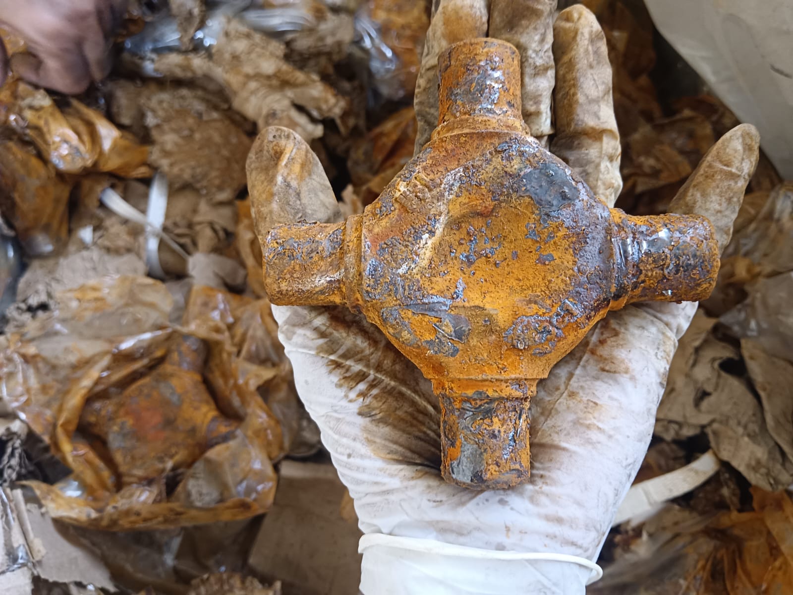 WhatsApp Image 2024-12-05 at 4.50.40 PM (1)