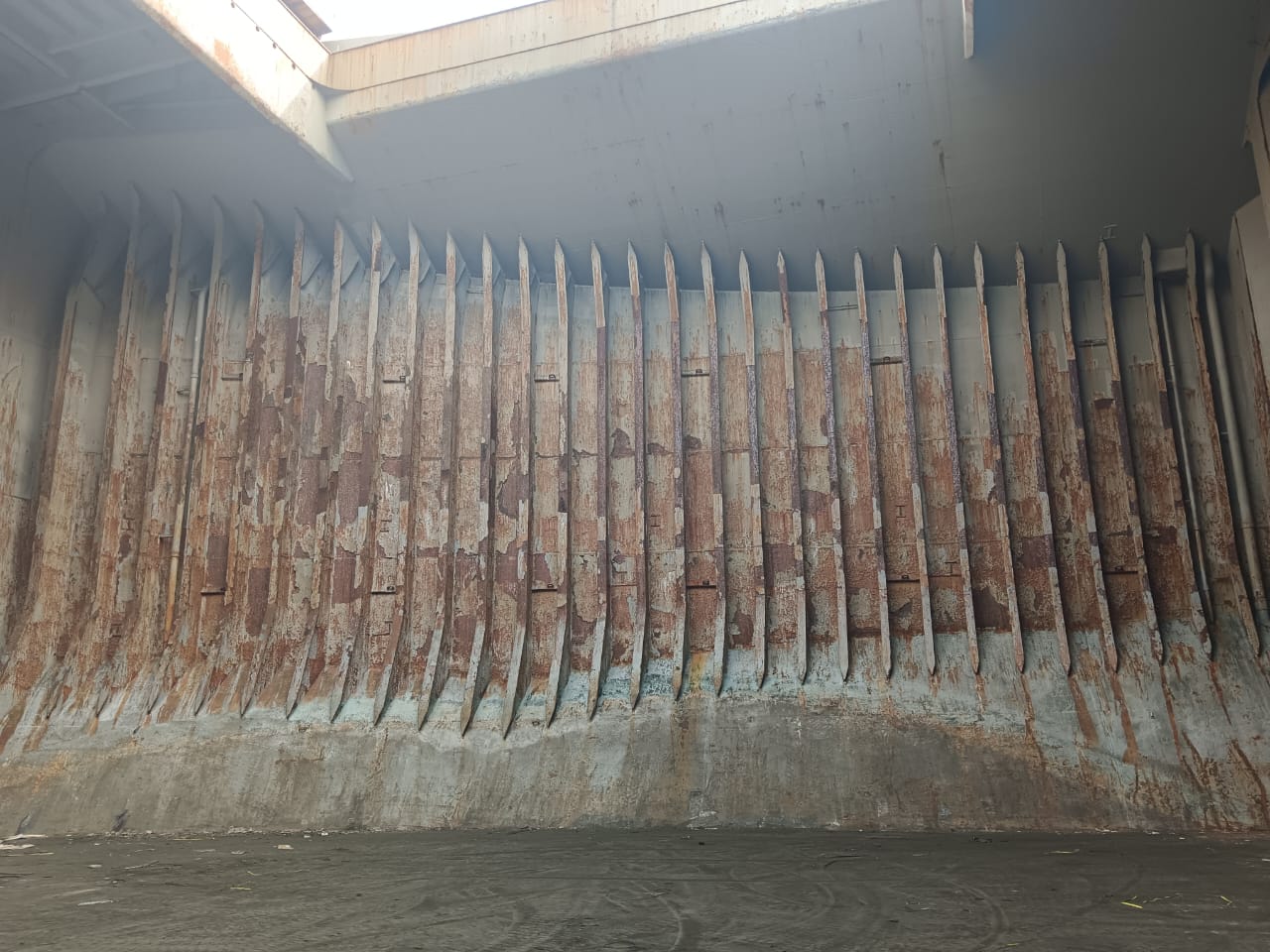 WhatsApp Image 2024-12-20 at 11.40.33