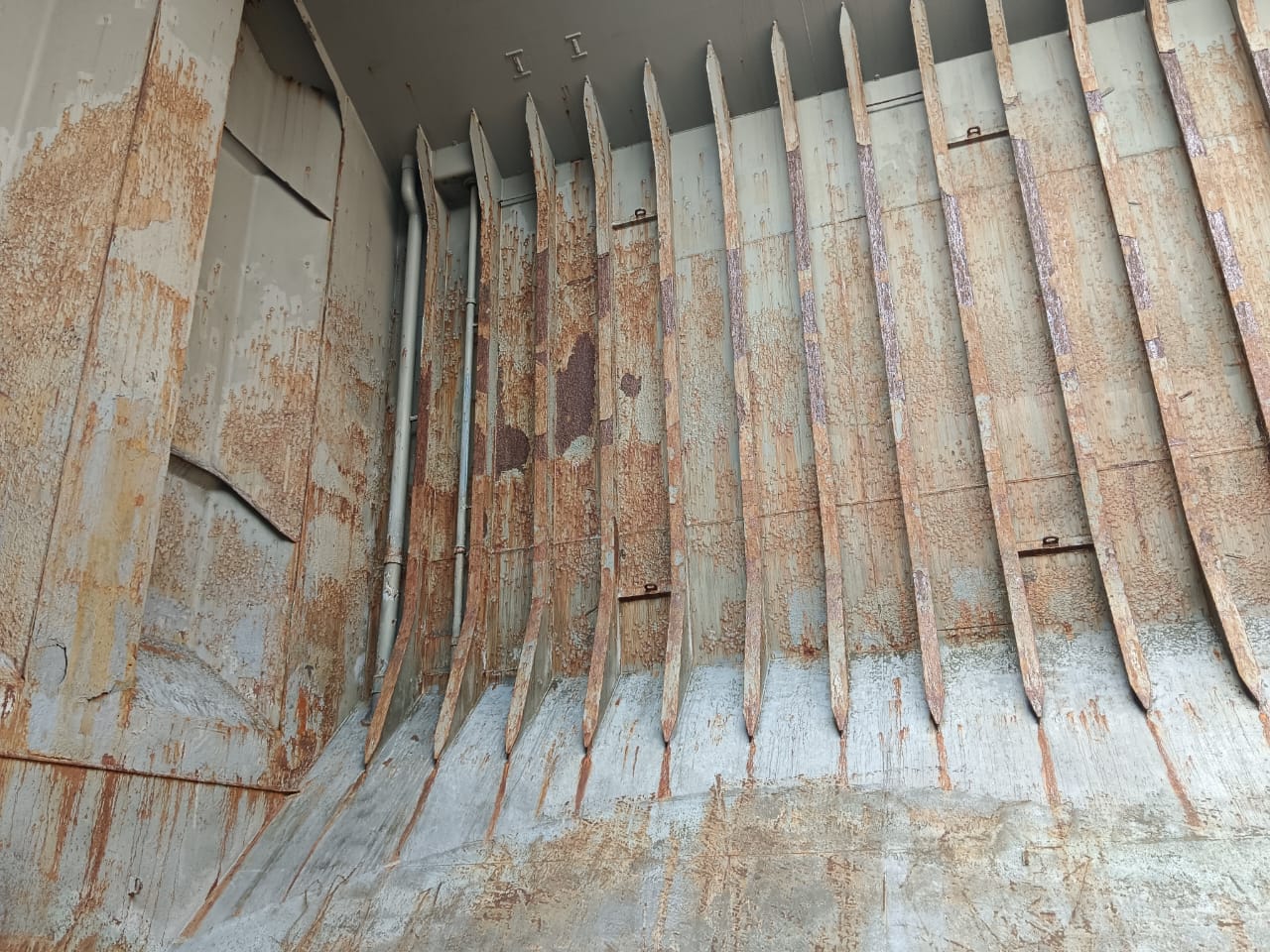 WhatsApp Image 2024-12-23 at 13.59.54 (1)