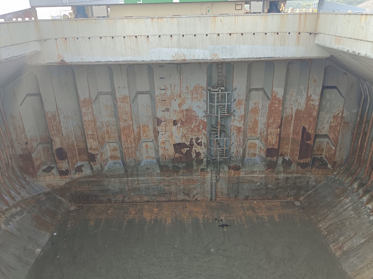 WhatsApp Image 2024-12-23 at 14.00.49 (1)