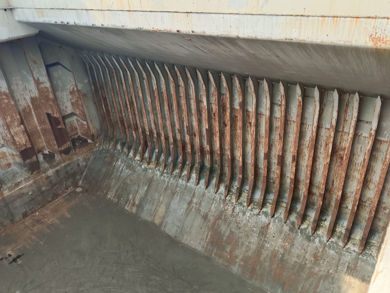 WhatsApp Image 2024-12-23 at 14.00.49 (2)