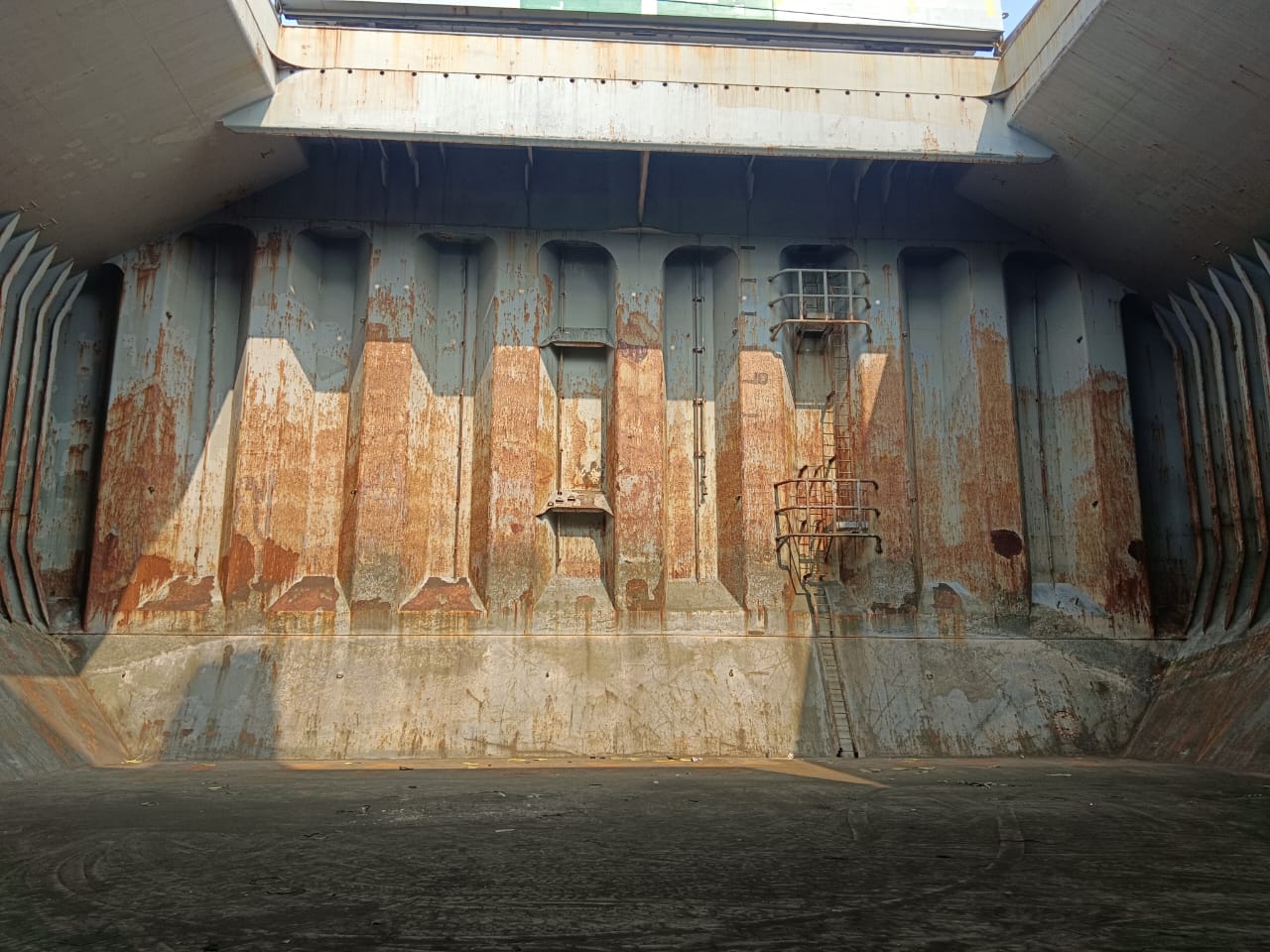 WhatsApp Image 2024-12-23 at 14.00.50 (1)