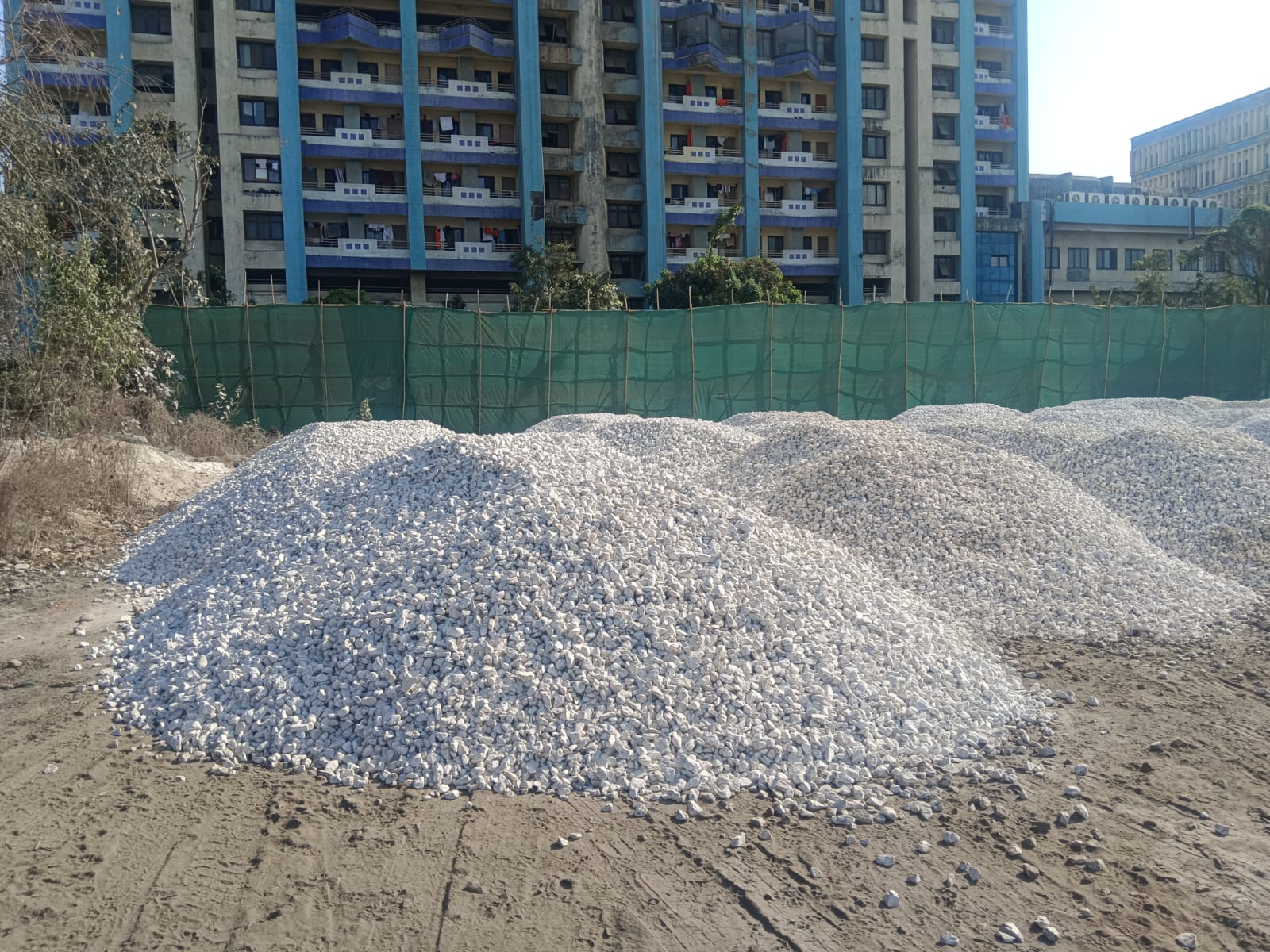 WhatsApp Image 2025-01-31 at 17.13.52 (2)