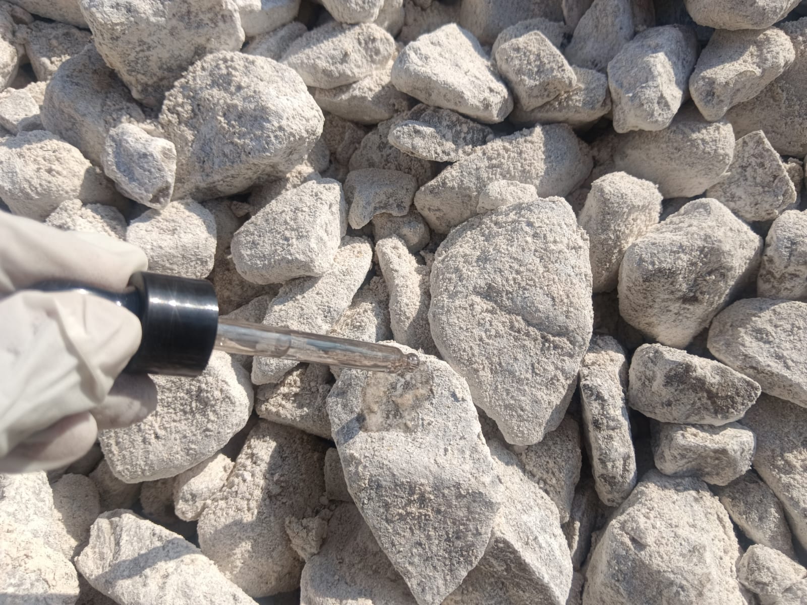 WhatsApp Image 2025-01-31 at 17.13.55 (1)