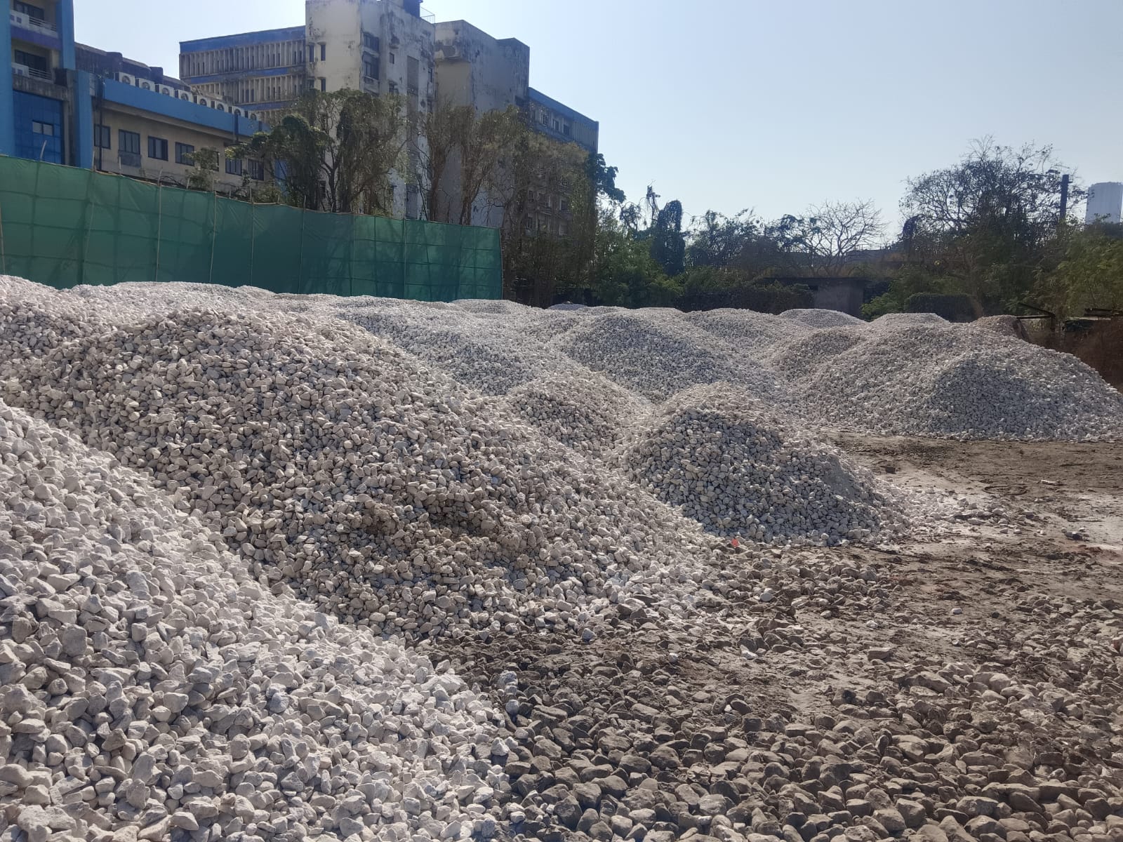 WhatsApp Image 2025-01-31 at 17.13.55