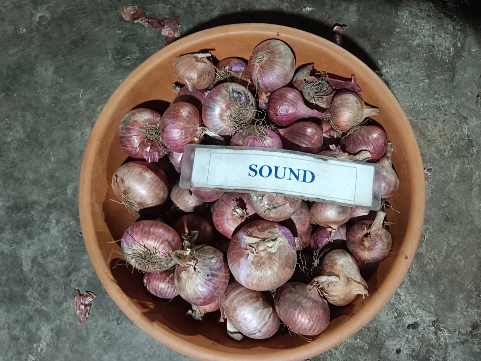 WhatsApp Image 2025-05-29 at 9.53.09 AM (2)