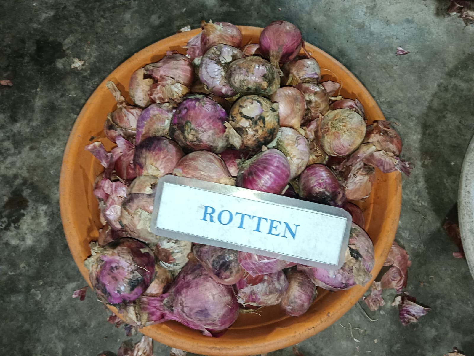 WhatsApp Image 2025-05-29 at 9.53.25 AM