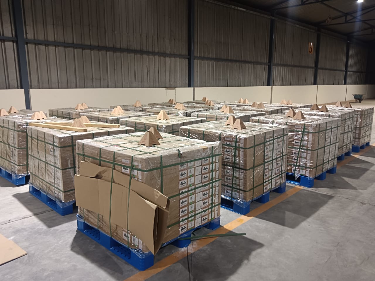 WhatsApp Image 2025-08-13 at 1.04.09 PM