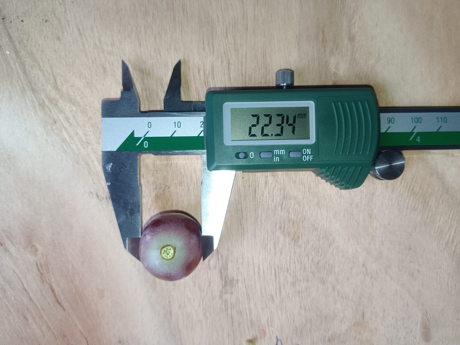 WhatsApp Image 2025-08-29 at 3.10.21 PM