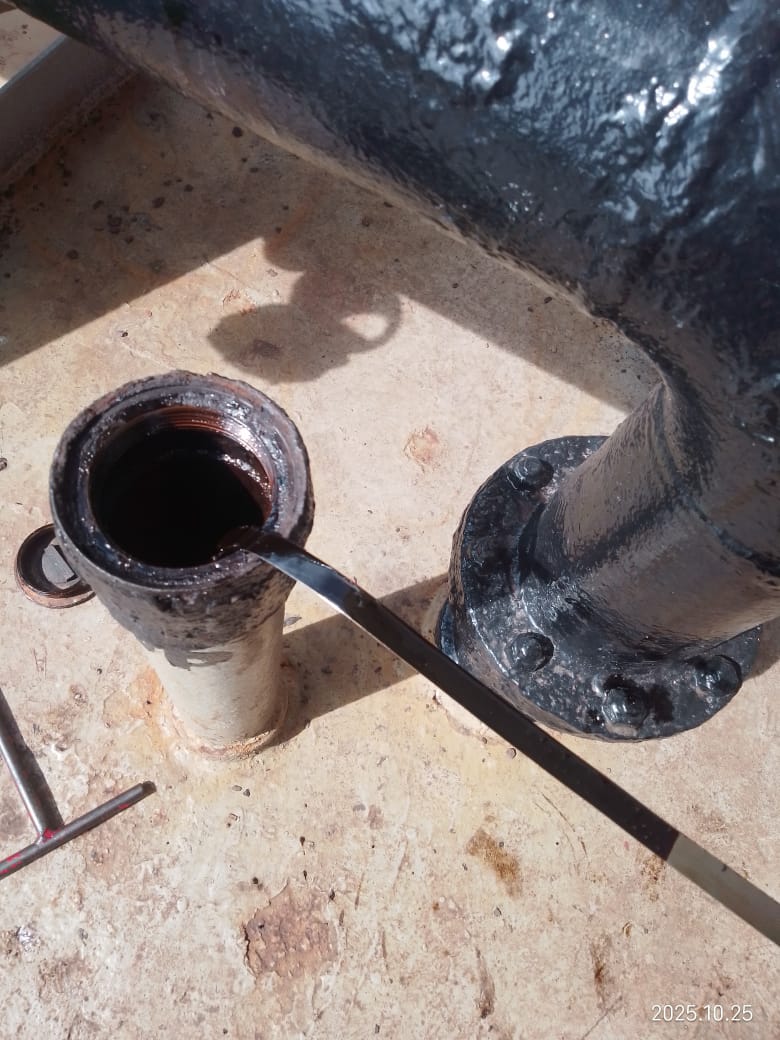 WhatsApp Image 2025-10-25 at 20.52.56