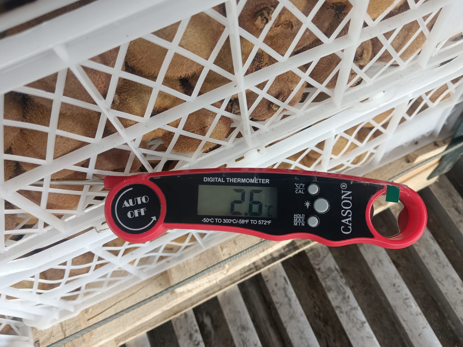 WhatsApp Image 2025-11-12 at 9.31.02 PM