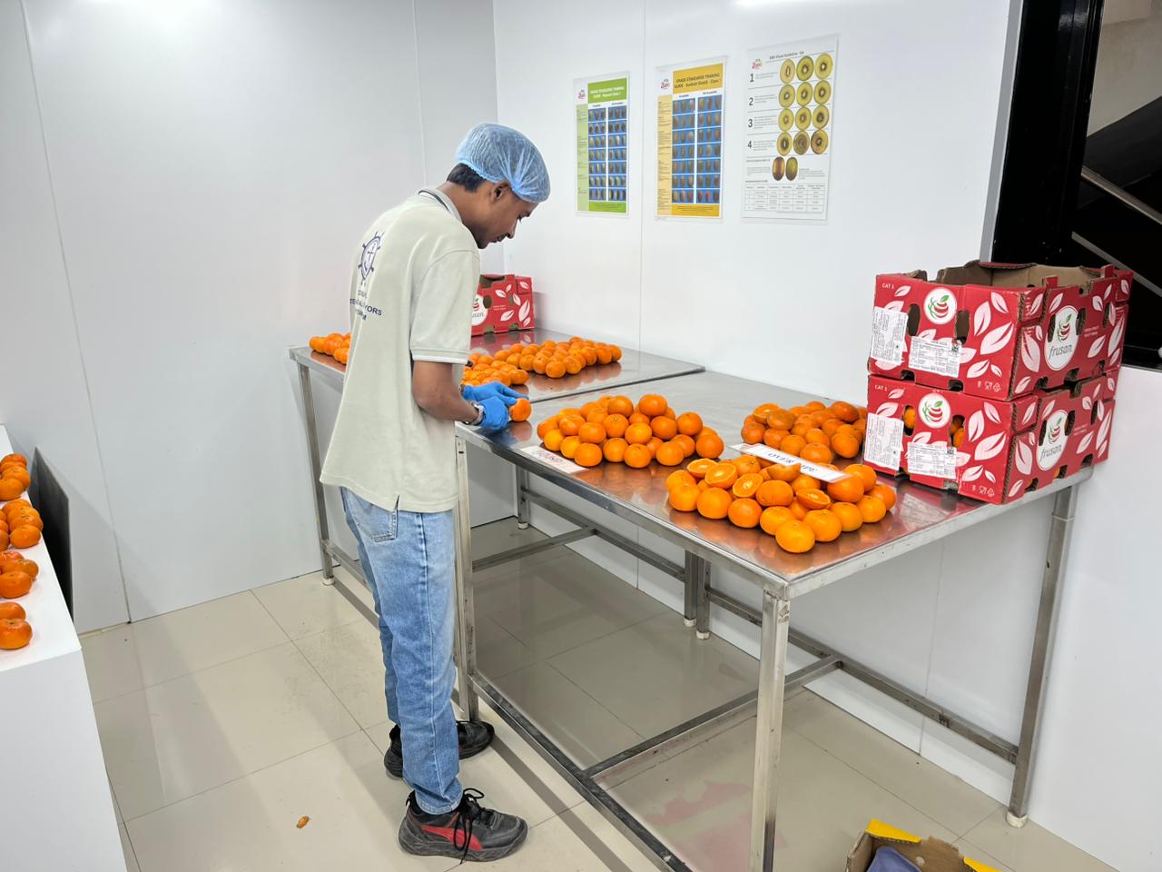 WhatsApp Image 2025-11-17 at 14.08.45