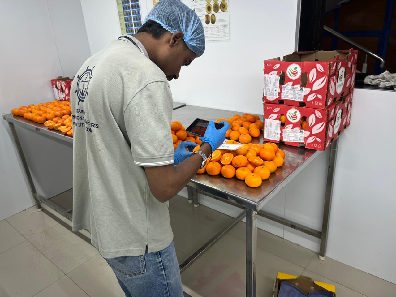 WhatsApp Image 2025-11-17 at 14.08.54