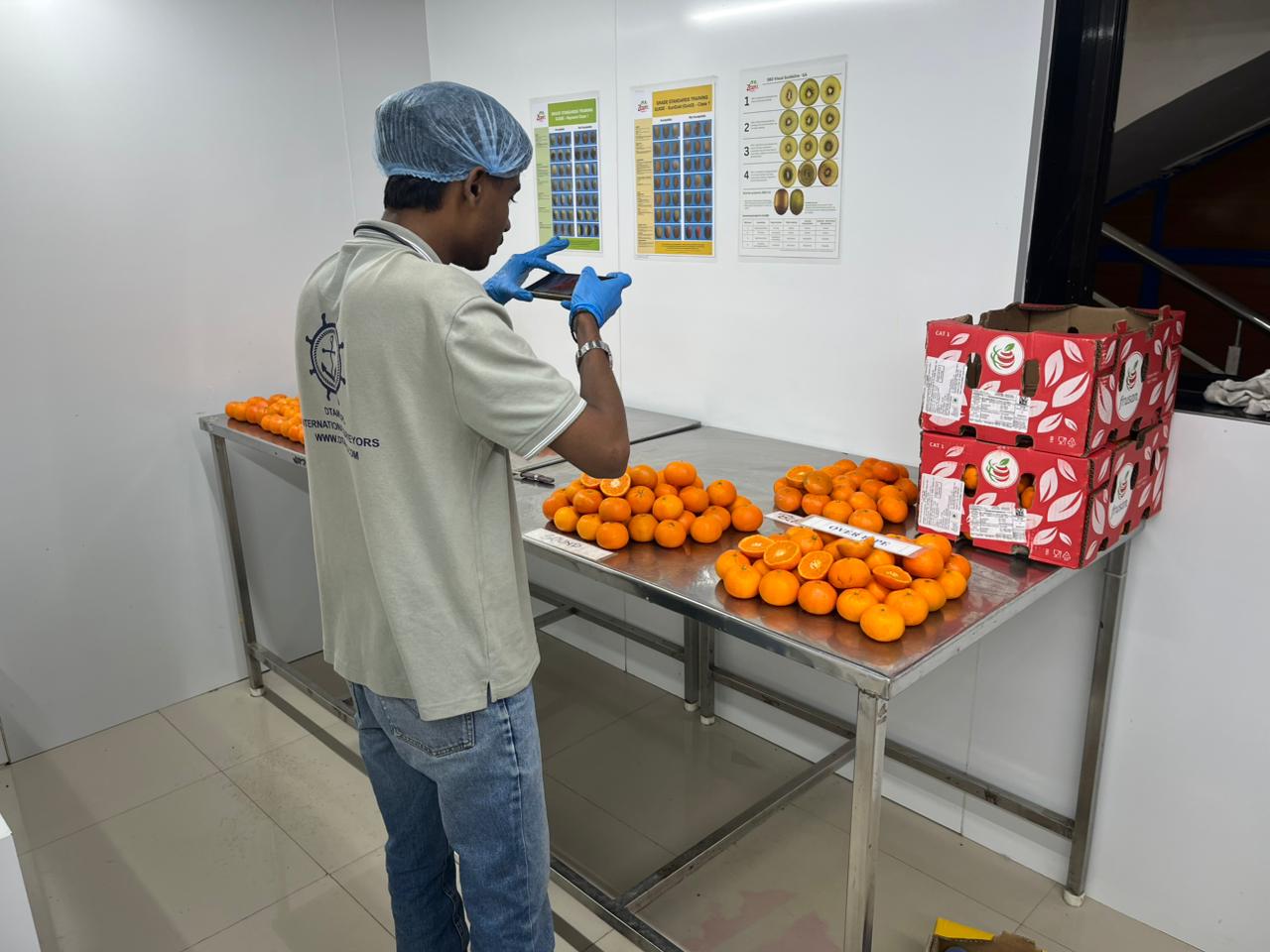 WhatsApp Image 2025-11-17 at 2.08.46 PM