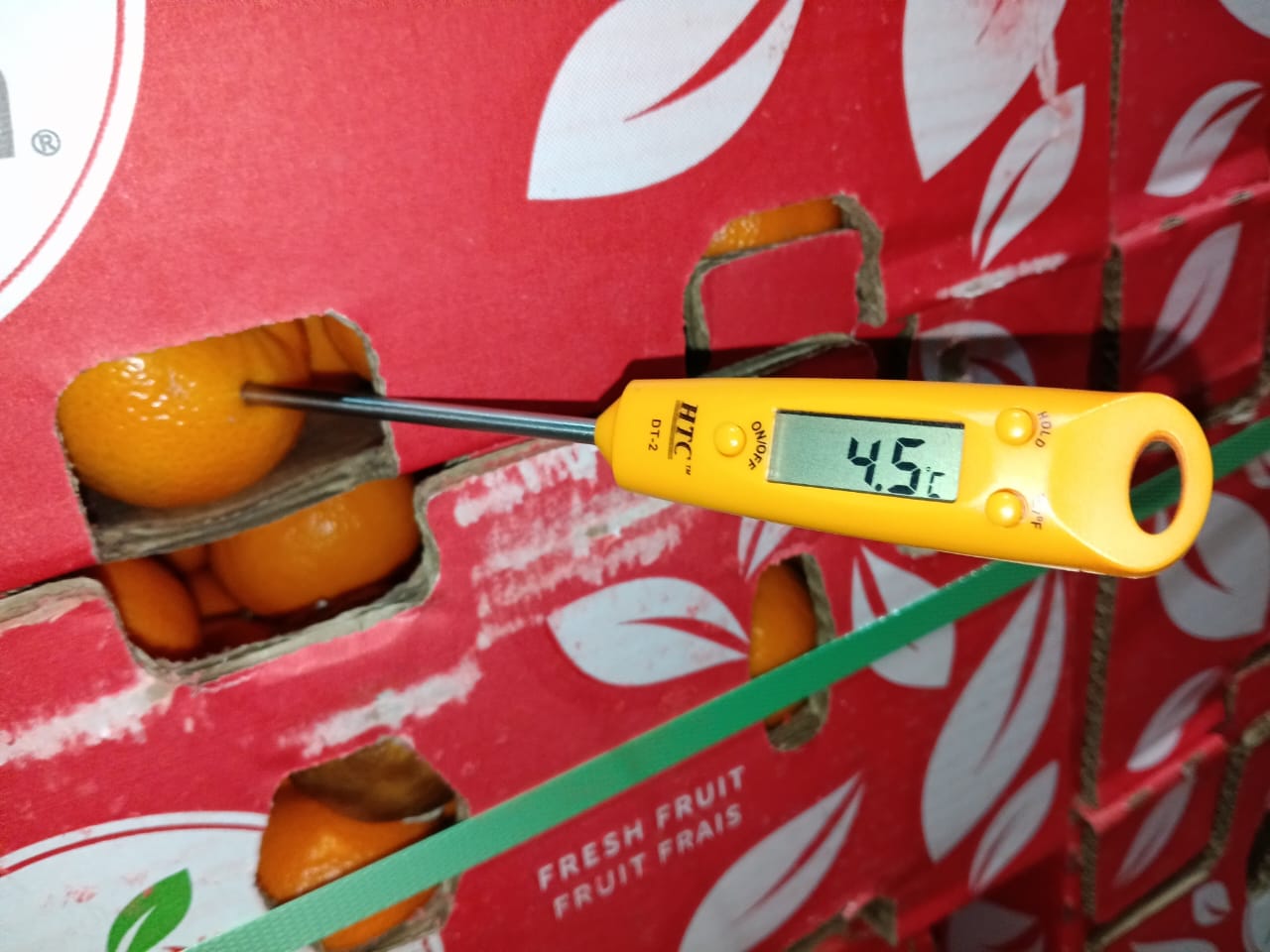 WhatsApp Image 2025-11-18 at 11.13.22 PM