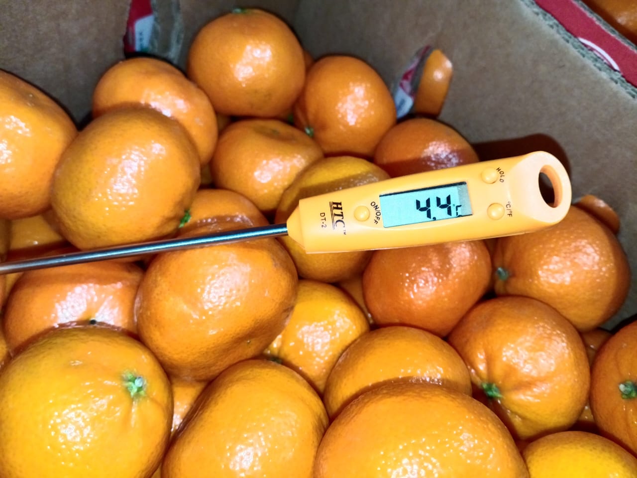 WhatsApp Image 2025-11-18 at 11.13.24 PM