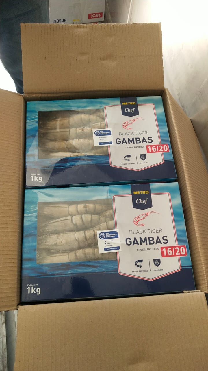 WhatsApp Image 2025-11-18 at 12.45.17 PM (1)