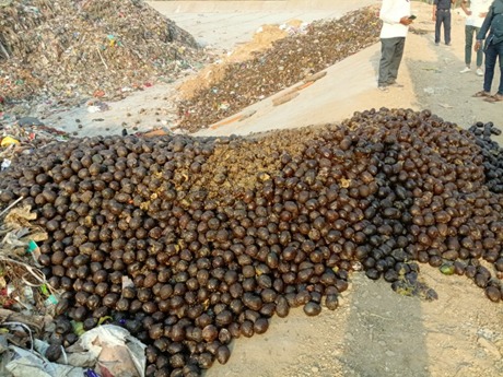 WhatsApp Image 2025-12-01 at 5.50.48 PM