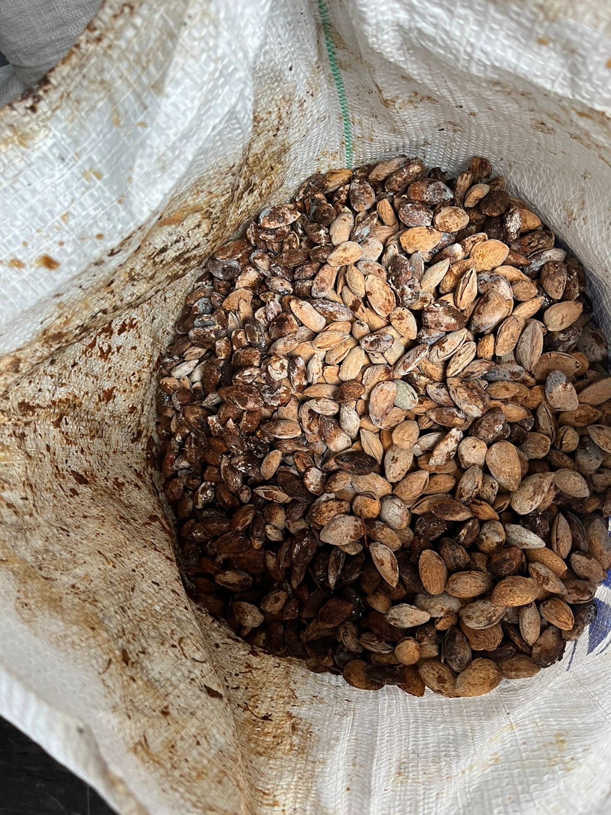 WhatsApp Image 2025-12-01 at 6.18.05 PM