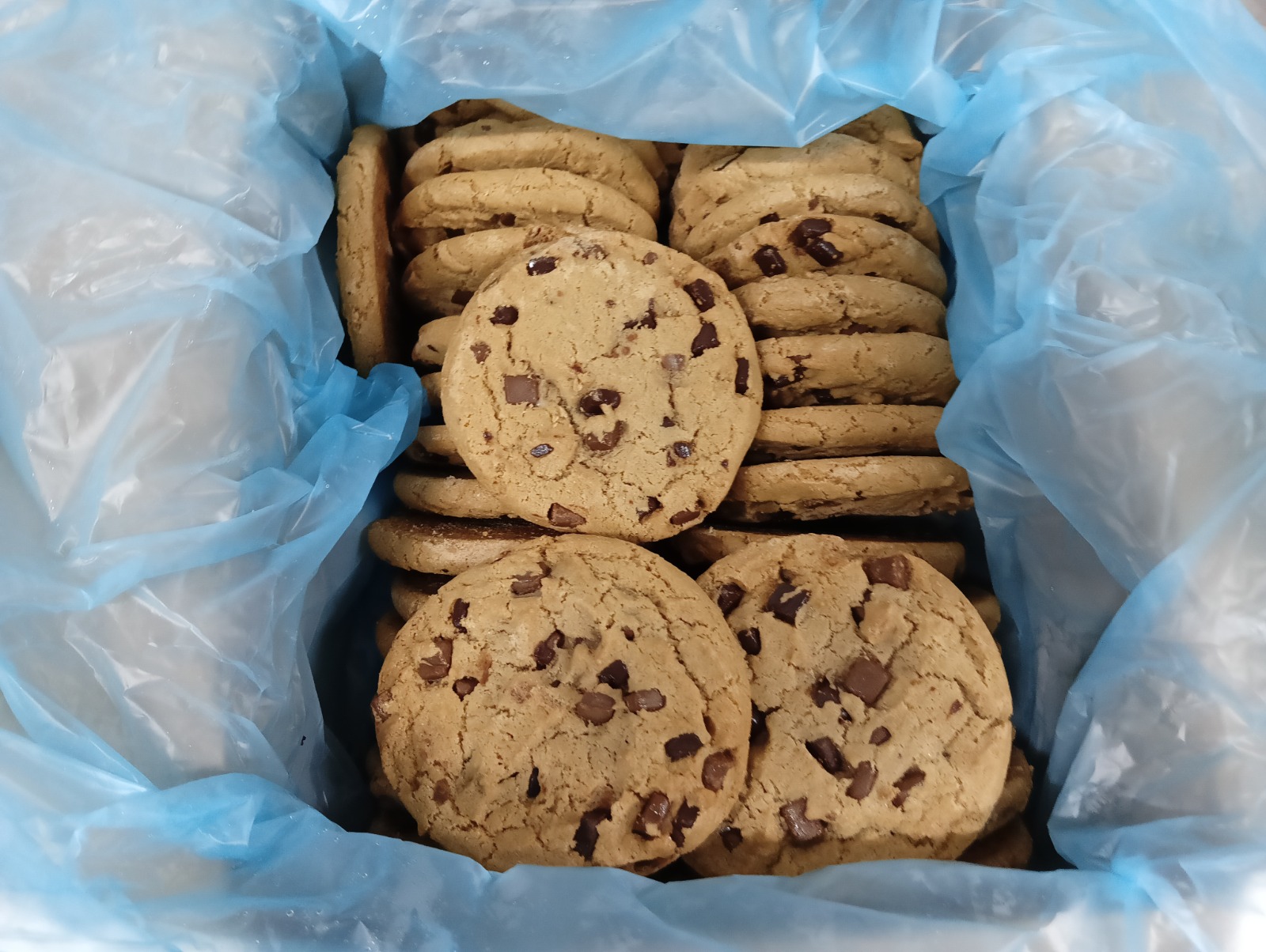 WhatsApp Image 2025-12-02 at 3.54.44 PM (1)