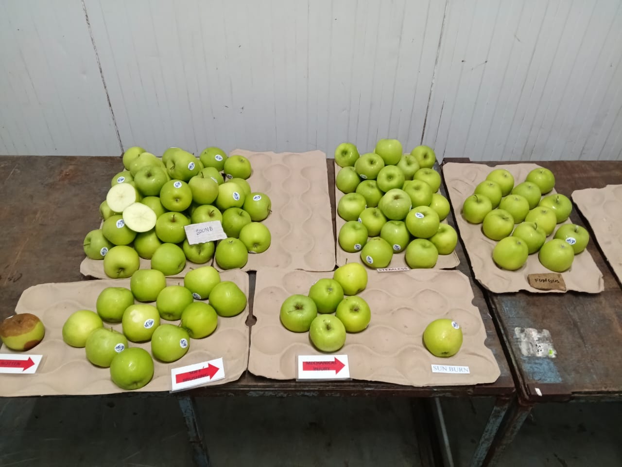 WhatsApp Image 2025-12-02 at 4.14.41 PM