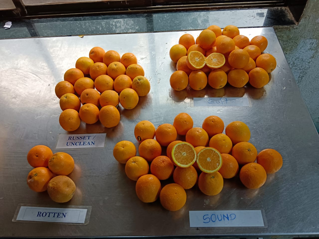 WhatsApp Image 2025-12-02 at 4.21.53 PM