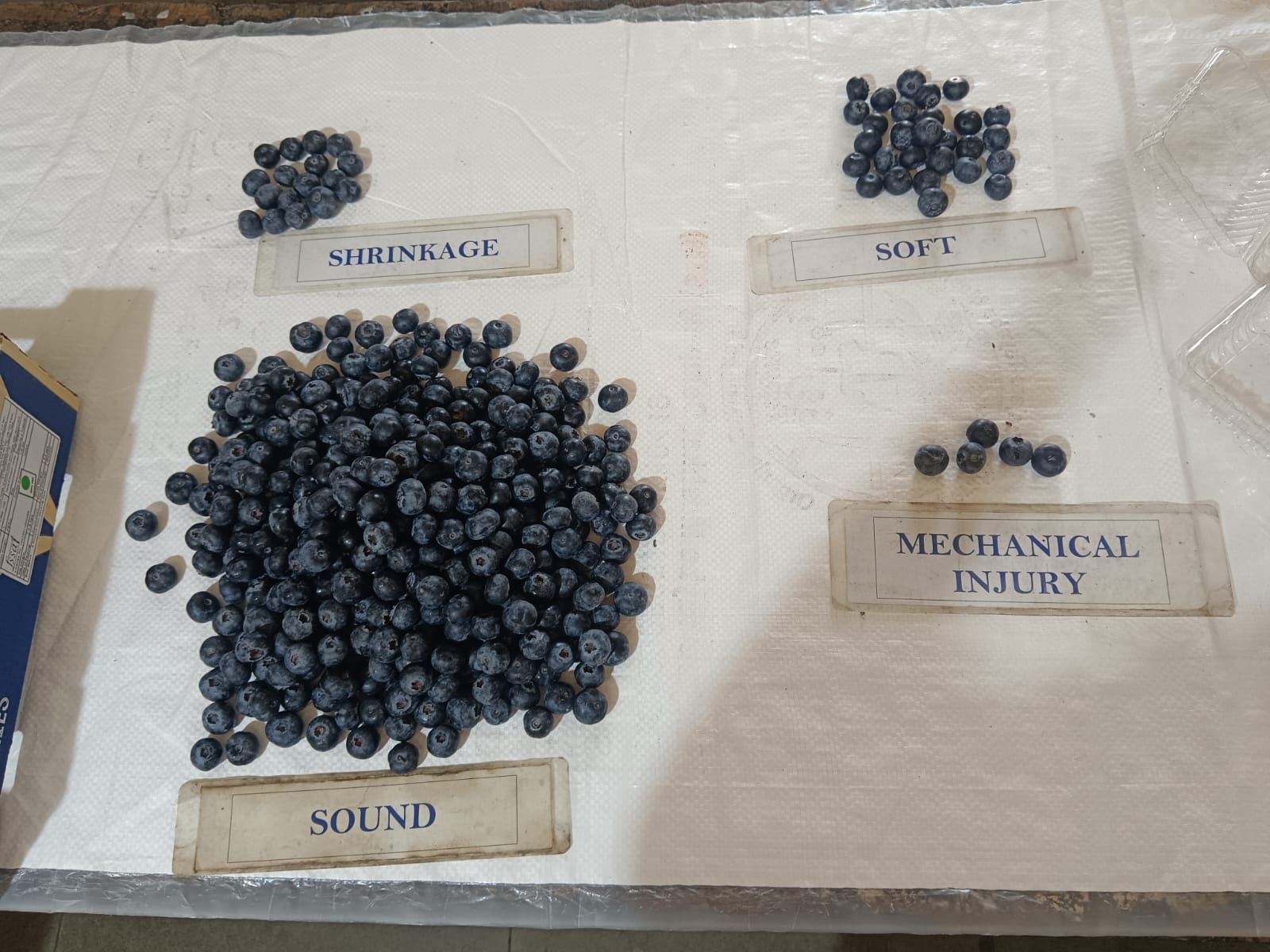 WhatsApp Image 2025-12-02 at 4.31.35 PM