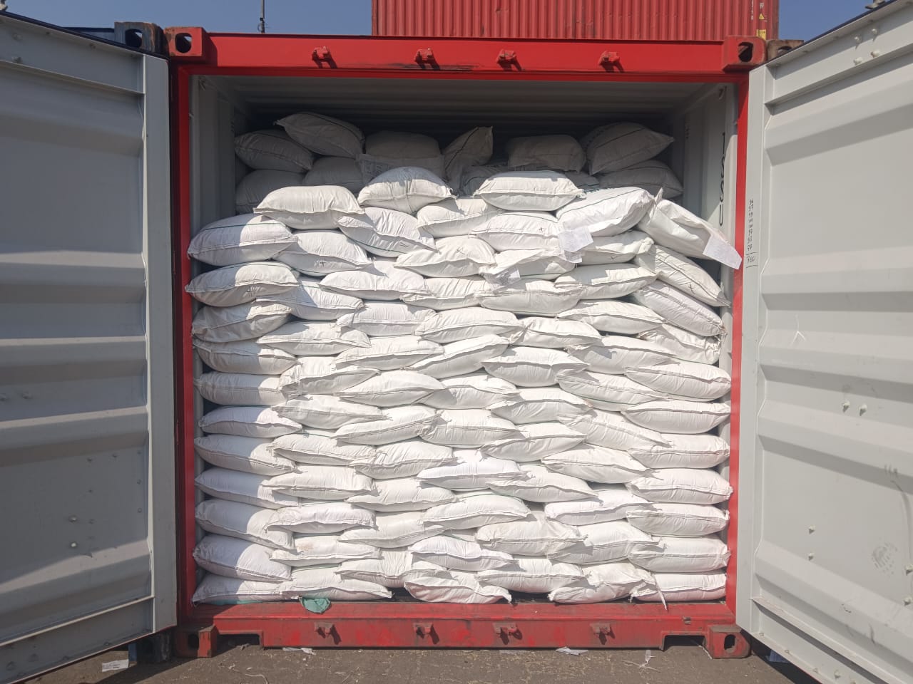 WhatsApp Image 2025-12-02 at 5.47.32 PM