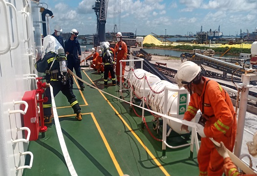 houston-flag-state-inspection