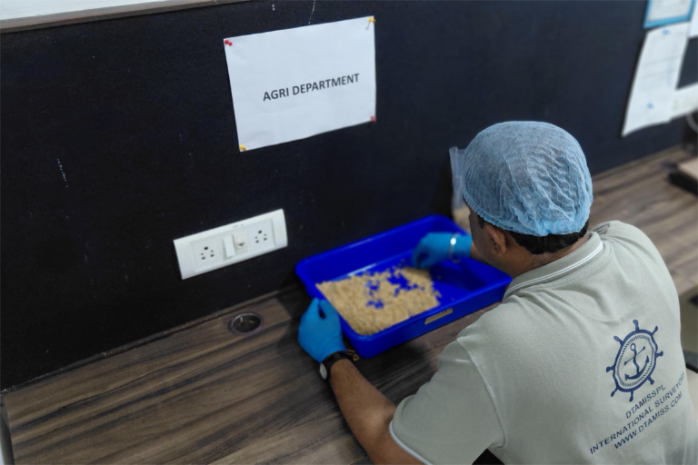 20251203_165133(1)(1)