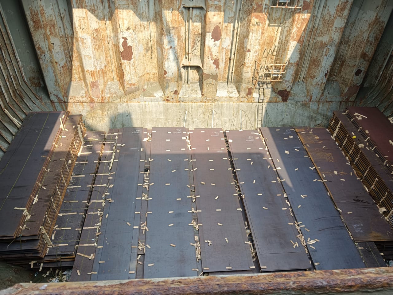 WhatsApp Image 2024-12-23 at 14.01.49