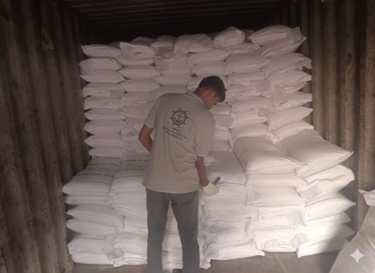 WhatsApp Image 2025-11-26 at 1.06.24 PM